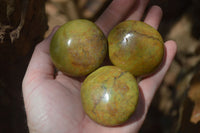 Polished Green Opal Free Forms x 12 From Antsirabe, Madagascar - Toprock Gemstones and Minerals