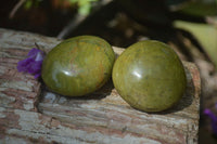 Polished Green Opal Free Forms x 12 From Antsirabe, Madagascar - Toprock Gemstones and Minerals