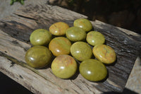 Polished Green Opal Free Forms x 12 From Antsirabe, Madagascar - Toprock Gemstones and Minerals