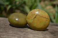 Polished Green Opal Free Forms x 12 From Antsirabe, Madagascar - Toprock Gemstones and Minerals