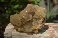 Natural Limonite Quartz Clusters x 12 From Solwezi, Zambia - Toprock Gemstones and Minerals