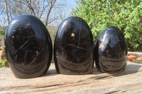 Polished Black Tourmaline Standing Free Forms x 3 From Madagascar - Toprock Gemstones and Minerals