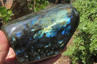 Polished Labradorite Standing Free Forms x 2 From Tulear, Madagascar - Toprock Gemstones and Minerals