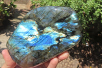Polished Labradorite Standing Free Forms x 2 From Tulear, Madagascar - Toprock Gemstones and Minerals