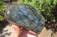 Polished Labradorite Standing Free Forms x 2 From Tulear, Madagascar - Toprock Gemstones and Minerals