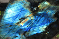 Polished Labradorite Standing Free Forms x 2 From Tulear, Madagascar - Toprock Gemstones and Minerals