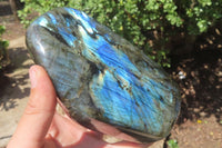 Polished Labradorite Standing Free Forms x 2 From Tulear, Madagascar - Toprock Gemstones and Minerals