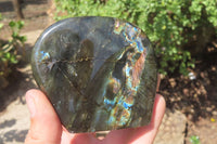Polished Labradorite Standing Free Forms x 2 From Tulear, Madagascar - Toprock Gemstones and Minerals