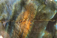 Polished Labradorite Standing Free Forms x 2 From Tulear, Madagascar - Toprock Gemstones and Minerals