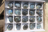 Polished Labradorite Palm Stones x 20 From Tulear, Madagascar - Toprock Gemstones and Minerals