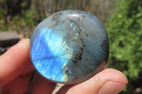 Polished Labradorite Palm Stones x 20 From Tulear, Madagascar - Toprock Gemstones and Minerals