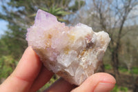 Natural Ametrine Spirit Quartz Clusters x 12 From Boekenhouthoek, South Africa - Toprock Gemstones and Minerals