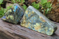 Polished Labradorite Standing Free Forms x 2 From Tulear, Madagascar - Toprock Gemstones and Minerals