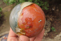 Polished Polychrome Jasper Spheres x 4 From Madagascar - Toprock Gemstones and Minerals