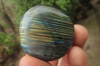 Polished Labradorite Palm Stones x 20 From Tulear, Madagascar - Toprock Gemstones and Minerals