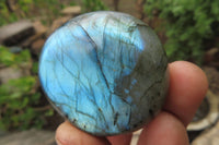 Polished Labradorite Palm Stones x 20 From Tulear, Madagascar - Toprock Gemstones and Minerals