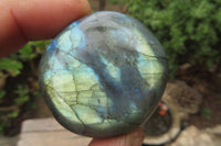 Polished Labradorite Palm Stones x 20 From Tulear, Madagascar - Toprock Gemstones and Minerals