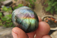 Polished Labradorite Palm Stones x 20 From Tulear, Madagascar - Toprock Gemstones and Minerals