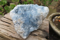 Natural Celestite Geode Specimen x 1 From Sakoany, Madagascar - Toprock Gemstones and Minerals