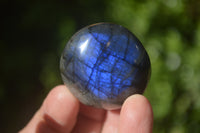 Polished Labradorite Palm Stones x 24 From Madagascar - Toprock Gemstones and Minerals
