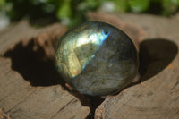Polished Labradorite Palm Stones x 24 From Madagascar - Toprock Gemstones and Minerals