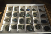 Polished Labradorite Palm Stones x 24 From Madagascar - Toprock Gemstones and Minerals