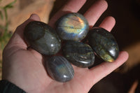 Polished Labradorite Palm Stones x 24 From Madagascar - Toprock Gemstones and Minerals