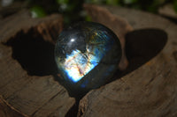 Polished Labradorite Palm Stones x 24 From Madagascar - Toprock Gemstones and Minerals