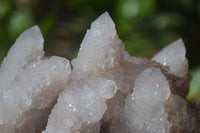 Natural Pale Spirit Quartz Clusters x 3 From Boekenhouthoek, South Africa - Toprock Gemstones and Minerals