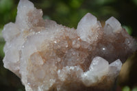 Natural Pale Spirit Quartz Clusters x 3 From Boekenhouthoek, South Africa - Toprock Gemstones and Minerals