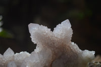 Natural Pale Spirit Quartz Clusters x 3 From Boekenhouthoek, South Africa - Toprock Gemstones and Minerals