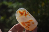 Polished Carnelian Standing Free Forms x 12 From Madagascar - Toprock Gemstones and Minerals