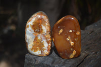 Polished Carnelian Standing Free Forms x 12 From Madagascar - Toprock Gemstones and Minerals