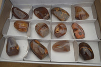 Polished Carnelian Standing Free Forms x 12 From Madagascar - Toprock Gemstones and Minerals