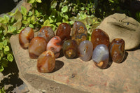 Polished Carnelian Standing Free Forms x 12 From Madagascar - Toprock Gemstones and Minerals