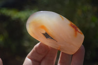 Polished Carnelian Standing Free Forms x 12 From Madagascar - Toprock Gemstones and Minerals