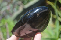 Polished Black Tourmaline Standing Free Forms x 3 From Madagascar - Toprock Gemstones and Minerals