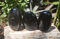 Polished Black Tourmaline Standing Free Forms x 3 From Madagascar - Toprock Gemstones and Minerals