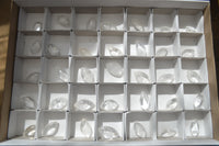 Polished Clear Quartz "Angel Tears" Pendant Pieces x 35 From Madagascar - Toprock Gemstones and Minerals