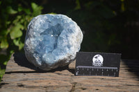 Natural Celestite Geode Specimens x 2 From Sakoany, Madagascar - Toprock Gemstones and Minerals