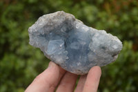Natural Celestite Geode Specimens x 2 From Sakoany, Madagascar - Toprock Gemstones and Minerals