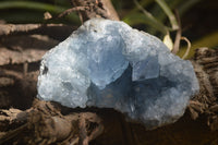 Natural Celestite Geode Specimens x 2 From Sakoany, Madagascar - Toprock Gemstones and Minerals
