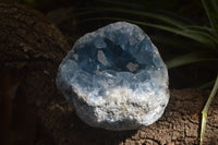Natural Celestite Geode Specimens x 2 From Sakoany, Madagascar - Toprock Gemstones and Minerals