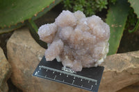Natural Ametrine Spirit Quartz Clusters x 2 From Boekenhouthoek, South Africa - Toprock Gemstones and Minerals