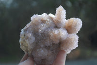 Natural Ametrine Spirit Quartz Clusters x 2 From Boekenhouthoek, South Africa - Toprock Gemstones and Minerals
