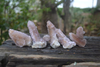 Natural Ametrine Spirit Quartz Clusters x 12 From Boekenhouthoek, South Africa - Toprock Gemstones and Minerals