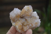 Natural Amethyst Spirit Quartz Clusters x 6 From Boekenhouthoek, South Africa - Toprock Gemstones and Minerals