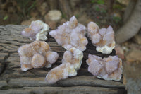 Natural Amethyst Spirit Quartz Clusters x 6 From Boekenhouthoek, South Africa - Toprock Gemstones and Minerals