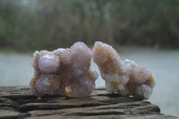 Natural Amethyst Spirit Quartz Clusters x 6 From Boekenhouthoek, South Africa - Toprock Gemstones and Minerals
