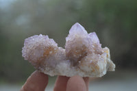 Natural Amethyst Spirit Quartz Clusters x 6 From Boekenhouthoek, South Africa - Toprock Gemstones and Minerals